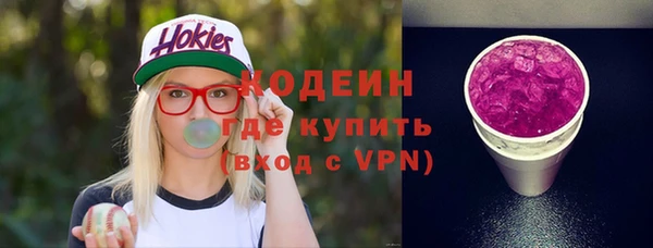 молекула духа Семилуки