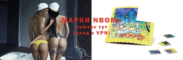 молекула духа Семилуки