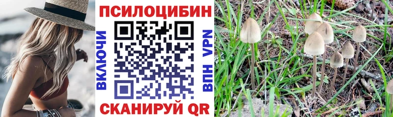 Псилоцибиновые грибы прущие грибы кракен рабочий сайт Судогда