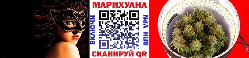 Конопля SATIVA & INDICA Судогда